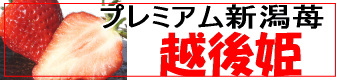 �z��P