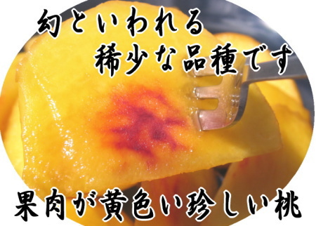 幻の稀少桃【ゴールデンピーチ】
