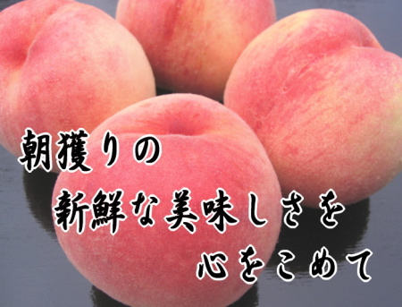 朝獲り★新鮮★生産者直送