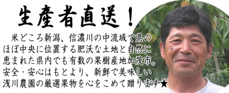 浅川農園の厳選桃★