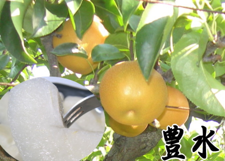 豊水