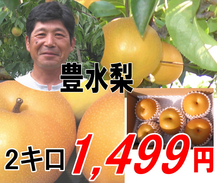 期間限定★