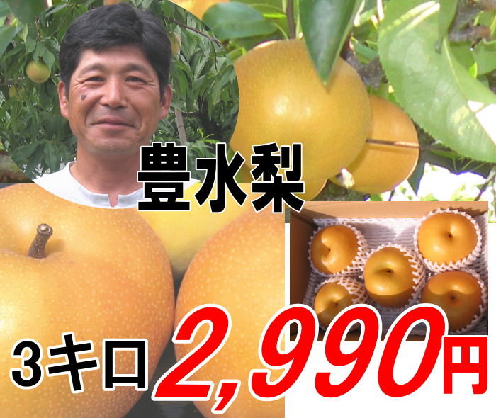 期間限定★