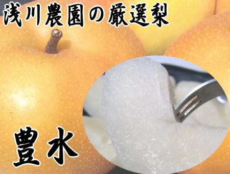 甘くてとってもジューシー【豊水】