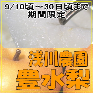 甘くてとってもジューシー【豊水】