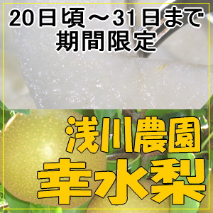 幸水梨