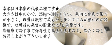 幸水