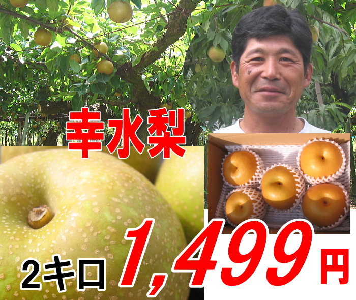 幸水梨