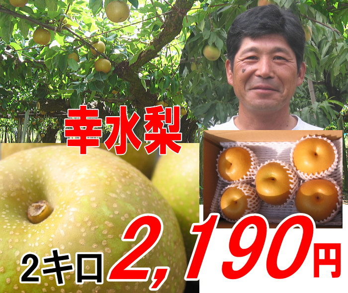幸水梨