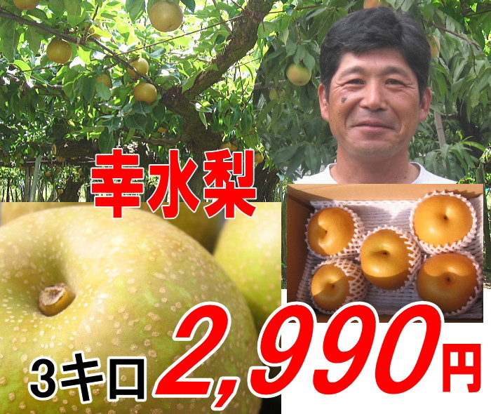 幸水梨