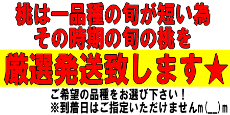 旬の桃を厳選発送★