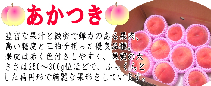あかつきとは？