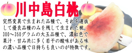 【川中島白桃】とは？