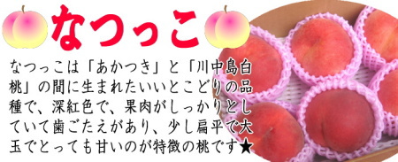 【なつっこ】とは？