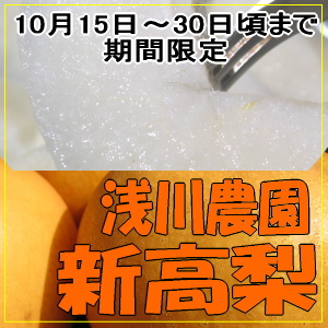 超大玉★厳選梨【新高】