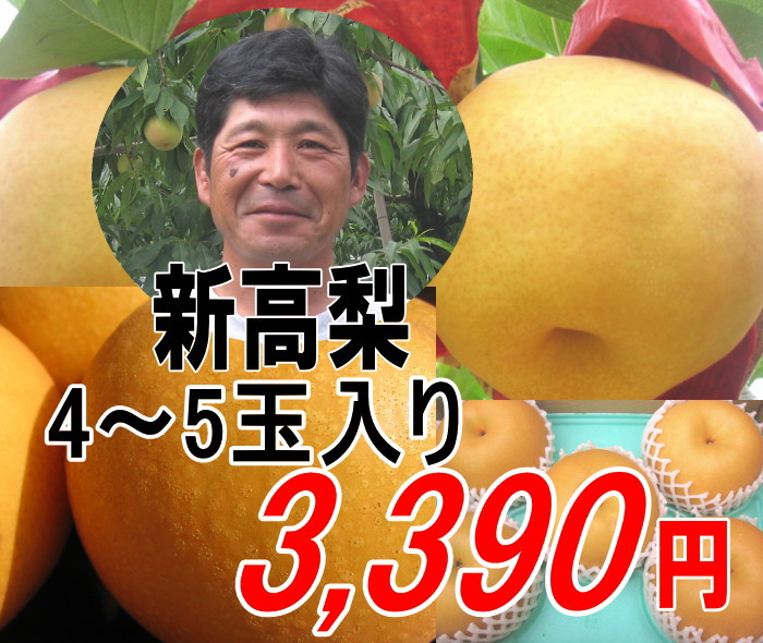 期間限定★新高