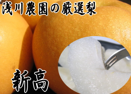 新高