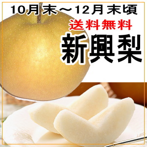 【送料無料】浅川農園の振興梨3キロ