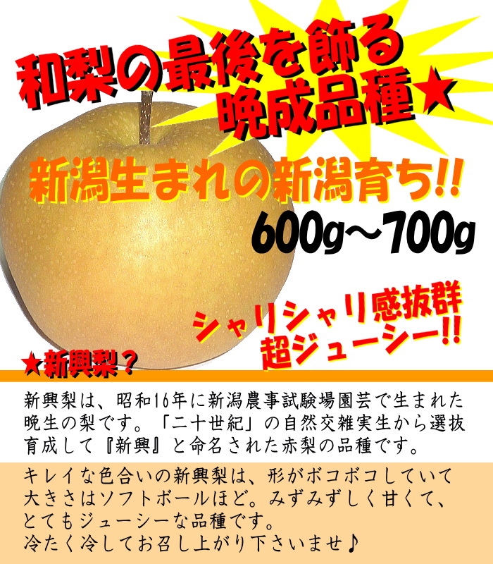 浅川農園の厳選フルーツ★