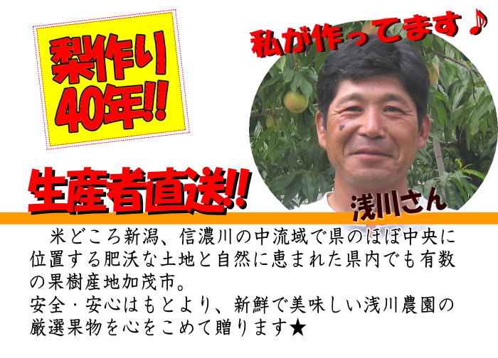 浅川農園の朝採り新興★