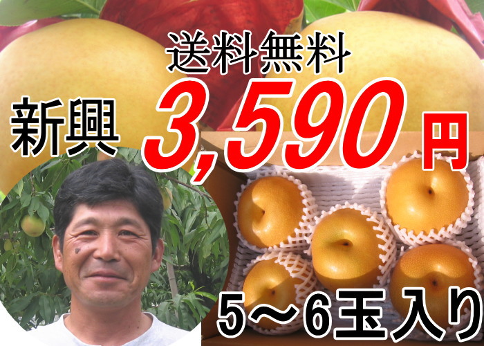 【送料無料】浅川農園の新興梨3キロ