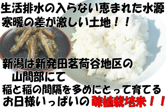 �V����䪉גJ�n����萶�Y