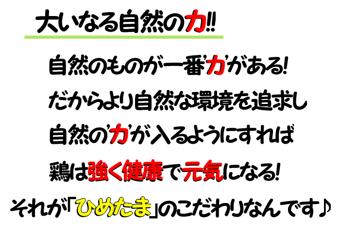 ひめたま★のこだわり