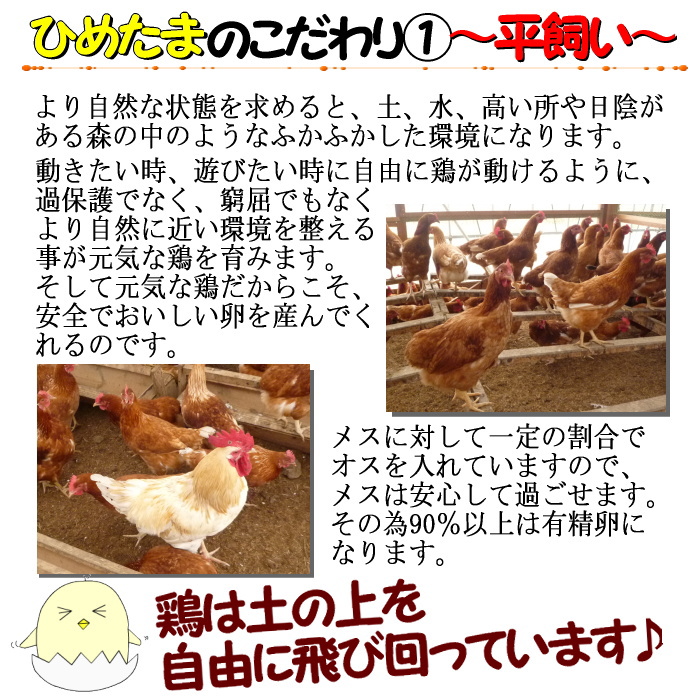 平飼い★卵