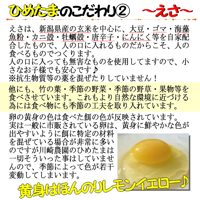 自然の力がたっぷり詰まった”美味しい”平飼いこだわり卵【ひめたま】卵/たまご/特売/ご飯のおとも/玉子/平飼い/TKG