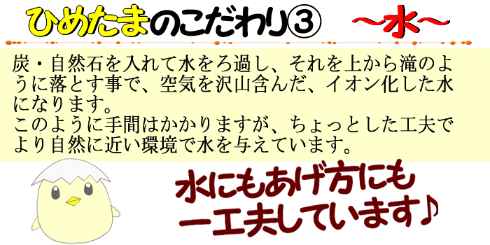 水にも！水のあげ方にも一工夫★ひめたま