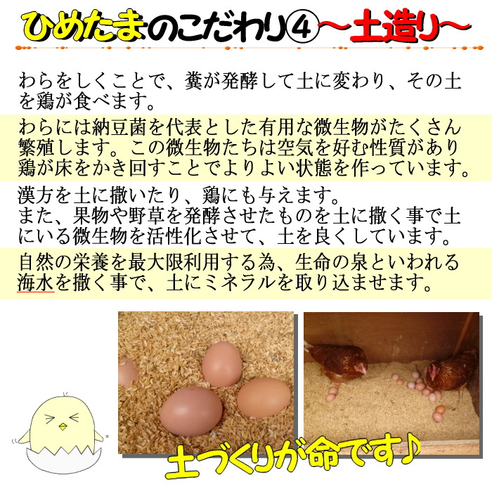 土づくり★ひめたま