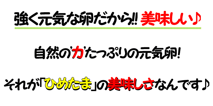 自然の力がたっぷり詰まった”美味しい”平飼いこだわり卵【ひめたま】卵/たまご/特売/ご飯のおとも/玉子/平飼い/TKG
