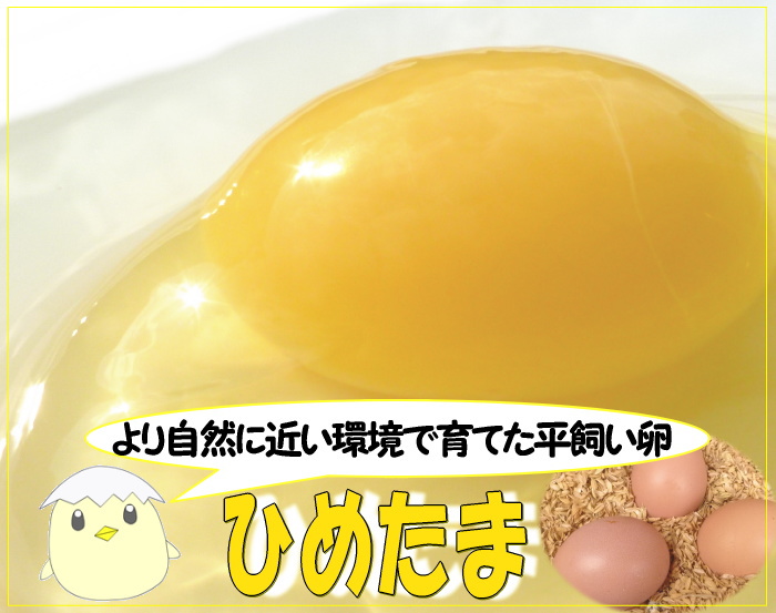 平飼いこだわり卵★ひめたま