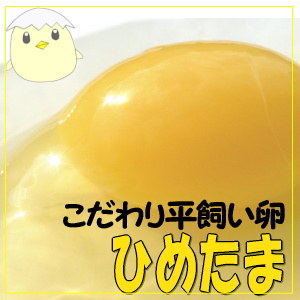 ひめたま