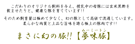 幻の豚肉!!新潟白根の柔らかポーク!!