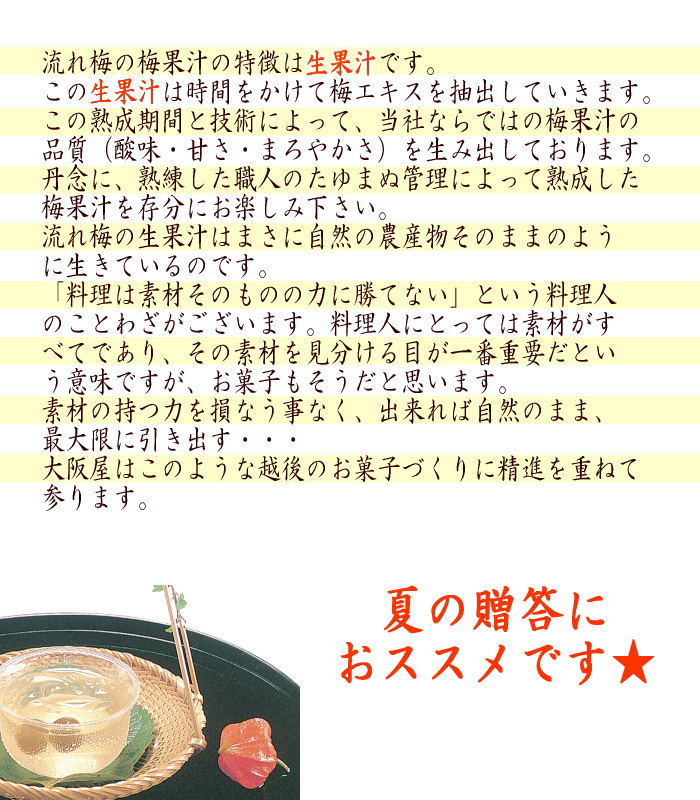 大阪屋 流れ梅 ギフト