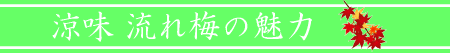 大阪屋 流れ梅 魅力