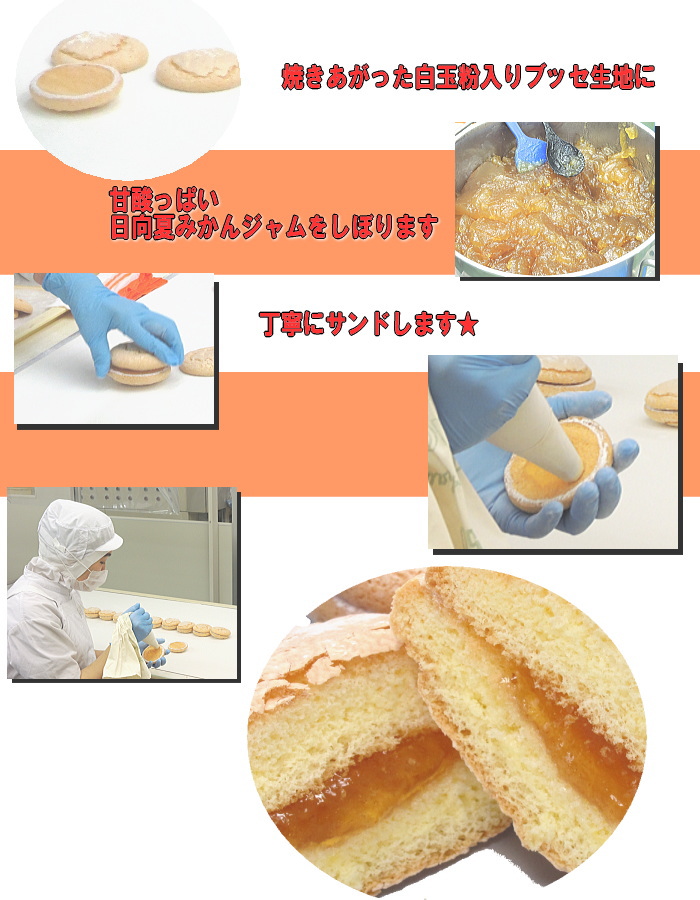 日向 夏みかん ブッセ の出来るまで