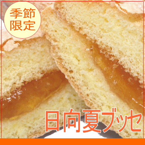 季節限定日向夏ブッセ